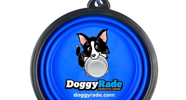 DoggyRade Bol portabil