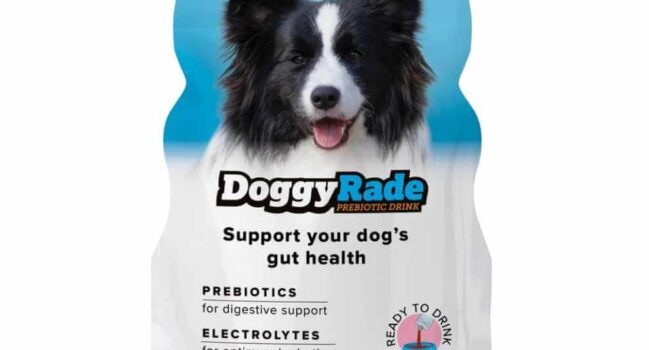 Băutură prebiotică cu rață pentru câini DoggyRade  – 500 ml