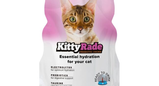Băutură prebiotică cu somon pentru pisici KittyRade – 250ml