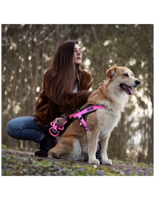 Ham caini MyFamily MEMOPET – marime XS
